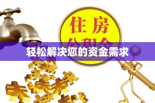 高效轻松解决您的资金需求